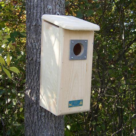 Coveside Conservation 10061 Red-headed Woodpecker House | Bird house ...