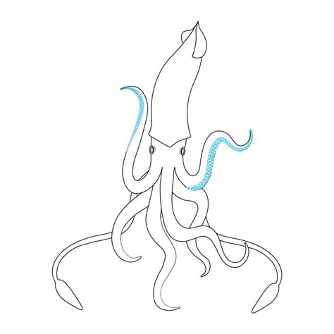 How To Draw A Squid Easy Drawing Tutorial For Kids Squid Drawing ...