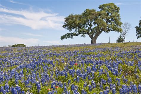 Top Things to Do in the Texas Hill Country