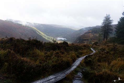 Hiking in the Wicklow Mountains - themigratorybirds.com