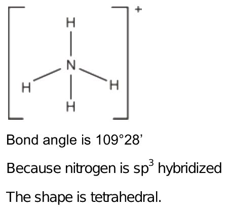 81.What is the bond angle in NH4+ and what is its shape?