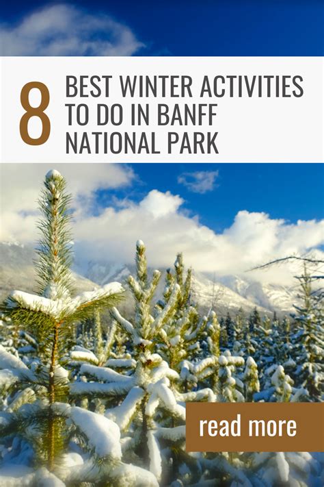 8 Winter Activities to Do in Banff National Park