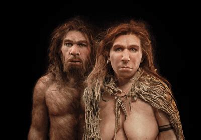 Neanderthal DNA in Modern Human Genomes Is Not Silent | The Scientist ...