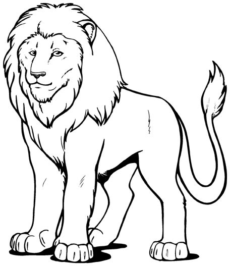 Free Picture Of Lion Black And White, Download Free Picture Of Lion ...