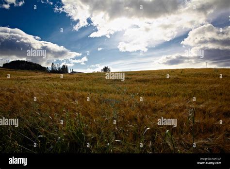 Langbank hi-res stock photography and images - Alamy