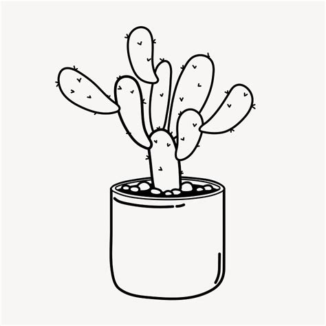 Cactus Black And White Drawing Images | Free Photos, PNG Stickers ...