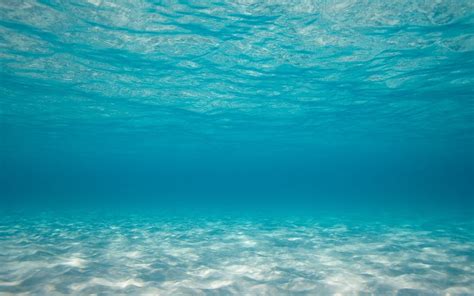 Underwater Ocean Wallpapers on WallpaperDog