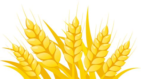 Trigo Png Vector Wheat Transparent Clipart Purepng Klasrisase | The ...