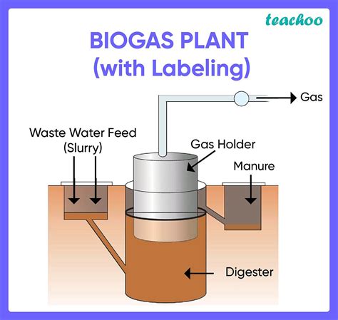 A biogas plant is where biogas is produced by fermenting biomass