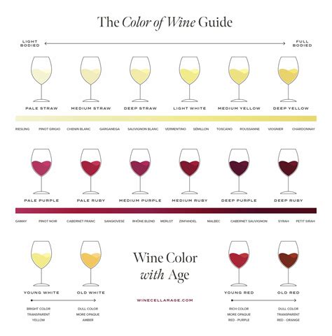 The Wine Color Chart Wine Folly | eduaspirant.com