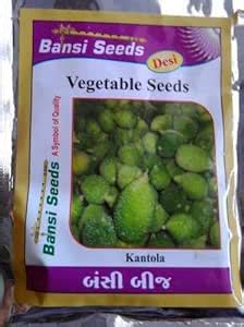 Bansi Seeds Spine Gourd Desi Momordica Dioica Kantola, 50 Seeds -10 ...