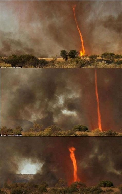 Caught on camera: The 30 metre high tornado of FIRE that whirled around ...