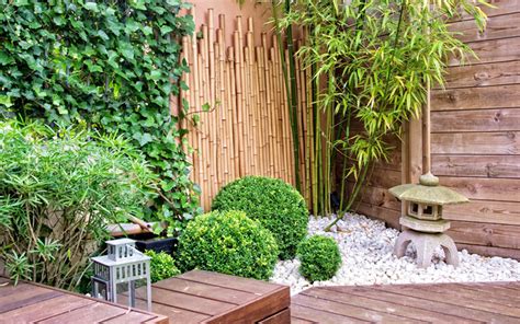 10 Bamboo Landscaping Ideas - Garden Lovers Club