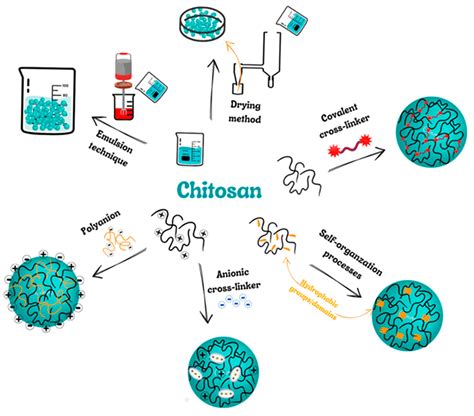 Molecules | Free Full-Text | Chitosan-Based Nanoparticles as Effective ...