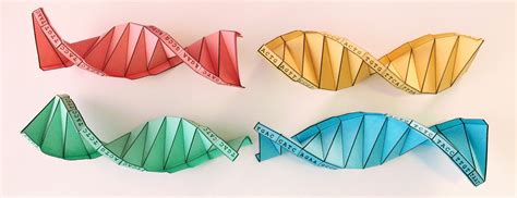 DNA Origami | Emily Suvada