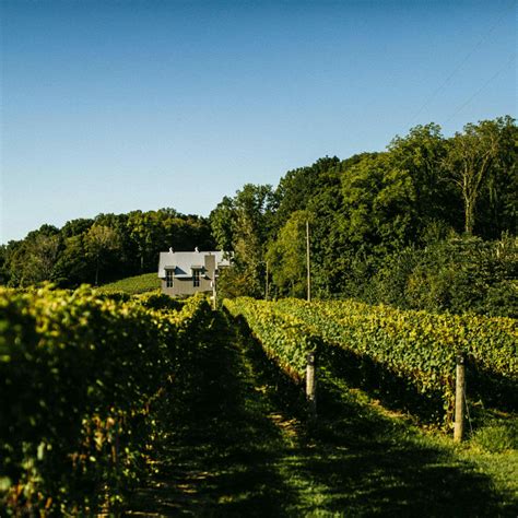 The Lake Michigan Shore Wine Trail | MI Wines | New Buffalo Explored