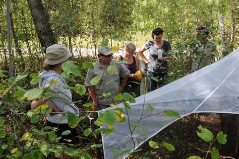 Entomology (PhD) | Explore UM | University of Manitoba