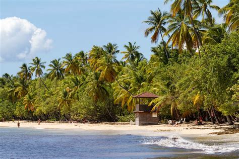 Best Beaches in Martinique, French Antilles - France Bucket List