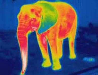 Infrared Waves - Electromagnetic Spectrum