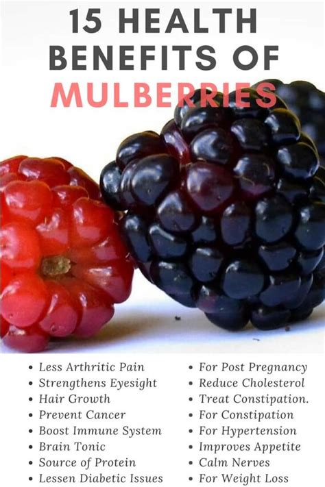 15 Top Health Benefits of Mulberries - HubPages