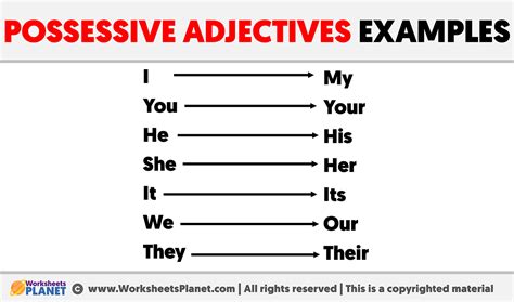 Possessive Adjectives Examples