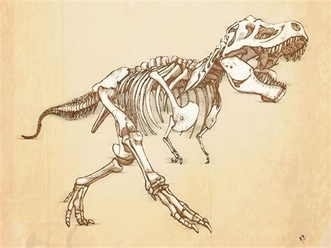 Tyrannosaurus rex Skeleton ~ Artwork ~ Carl Albrecht-Buehler ...