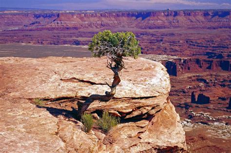 15 Best Hikes in Canyonlands National Park - TopTravelVoyages