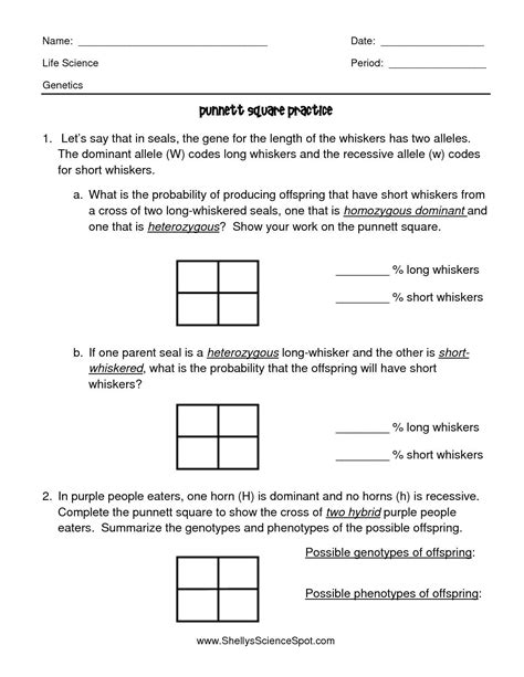 Punnett Square Practice Worksheet Answers – Englishworksheet.my.id