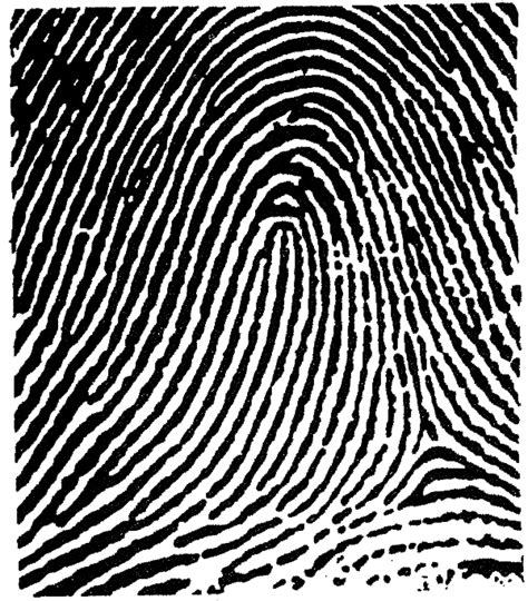 Fingerprint