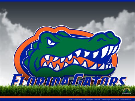 Florida Gator Screensavers and Wallpaper - WallpaperSafari