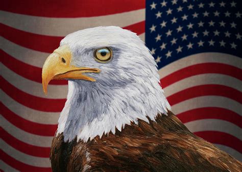 Bald Eagle Mullet Patriotic Eagle USA Art Print By Mister Tee Pixels ...