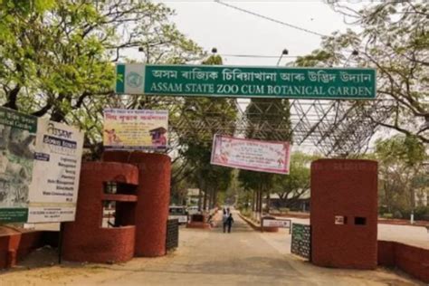 Guwahati: Assam State Zoo To Be Revamped