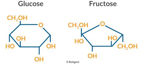 What are the Different Types of Sugar? | ReAgent Chemicals