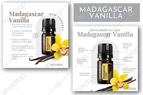 Madagascar Vanilla by Amy Wheeler