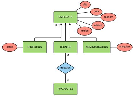 Components Of ER Diagram