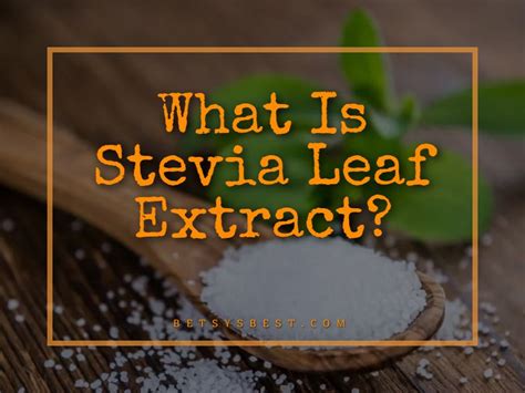 What Is Stevia Leaf Extract? - Everything You Need to Know About Stevia ...