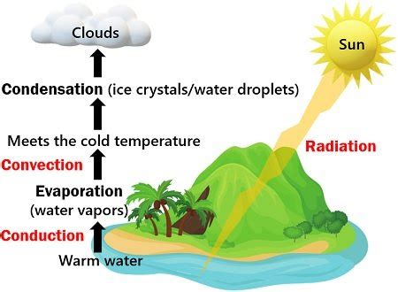 What is Cloud Formation? Cloud, Fun Facts, Process & Types - Biology Reader