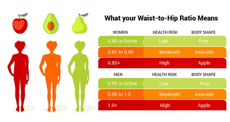 Waist Hip Ratio - how to accurately measure your waist to hip ratio