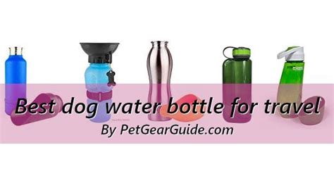 Top 10 best dog water bottles for travel and outdoors (Updated 2021)