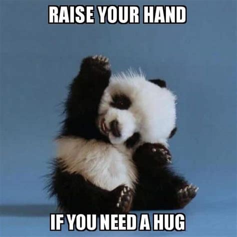 20 Need a Hug Meme to Warm You Up – SheIdeas