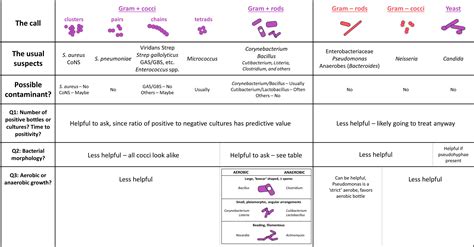 Gram Negative Cocci In Blood Culture