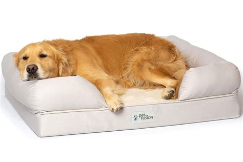 Best Memory Foam Dog Beds with Bolster - Hey, Djangles.