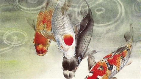 Japanese Koi Fish Wallpapers - Top Free Japanese Koi Fish Backgrounds ...