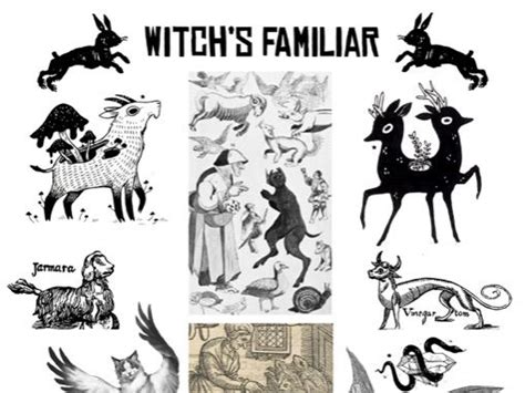 Design a Witch's Familiar | Teaching Resources