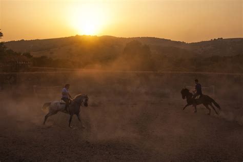 THE LAST VAQUERO ”The Real Cowboy – by One of Them” - Equilife World