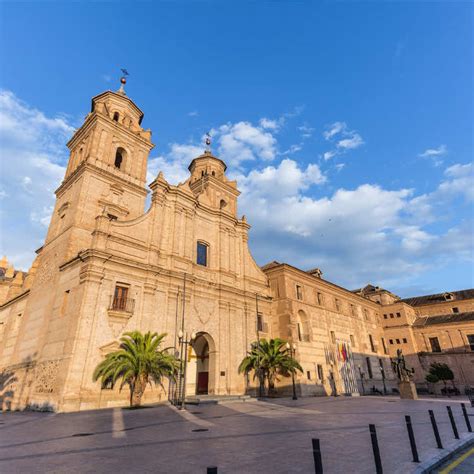 Study at Catholic University of Murcia - English Taught Degree Programs