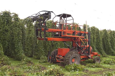 Willamette Valley Hops: Hop Harvest 2009