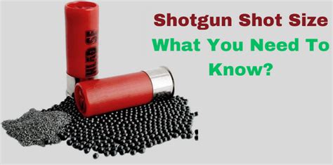 Shotgun Shot Size Chart - Guide To Choose The Right Shot