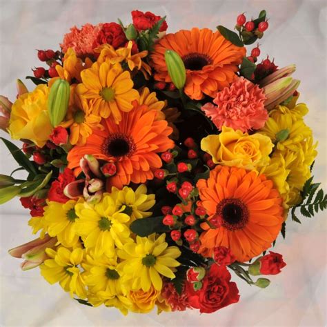 FREE Same Day Flower Delivery Northampton |Homeland Florists