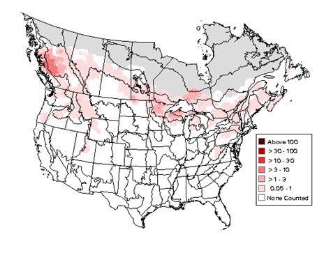 Ruffed Grouse - Breeding Range Map